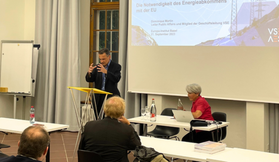 Dominique Martin (VSE) hält einen Vortrag am Rednerpult