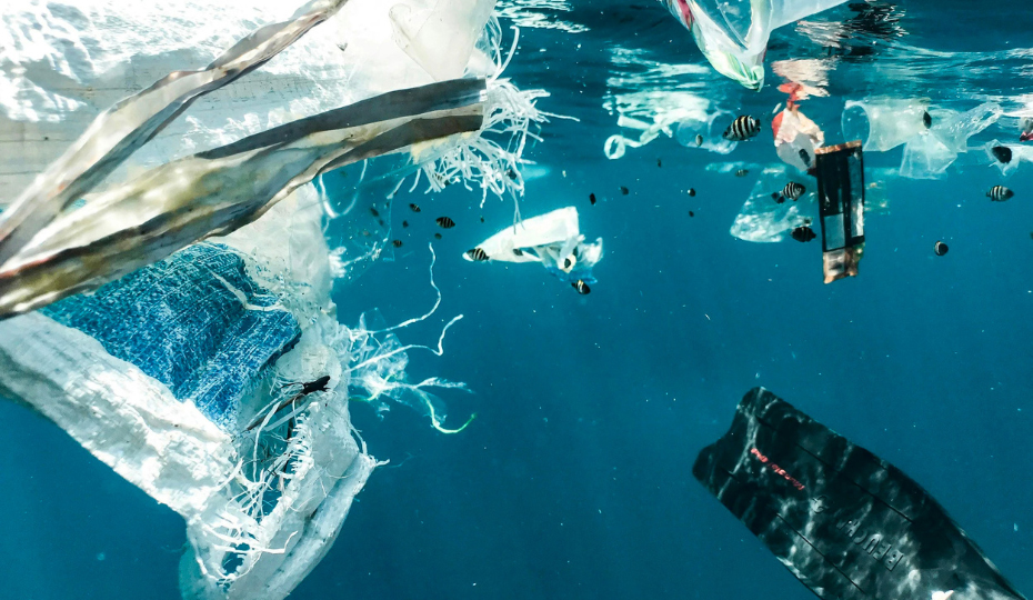 Plastic waste in the water